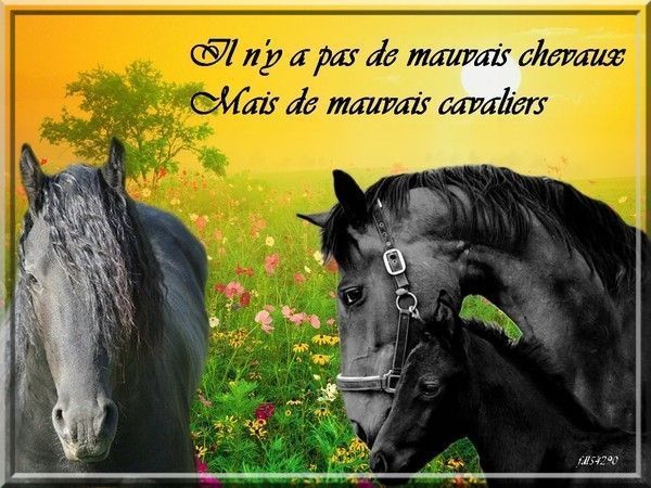 Citation